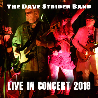 The Dave Strider Band